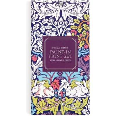 William Morris Paint-In Postcard Set - Galison
