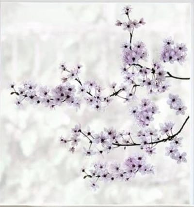 Raamsticker Kersenbloesem 24 x 67 cm – Bloemen Raamstickers – Decoratieve Raamdecoratie voor Ramen