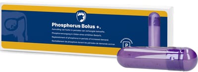 Excellent Fosfor Bolus + – Helpt bij fosforgebrek – 4 x 123 g - Geschikt voor rundvee