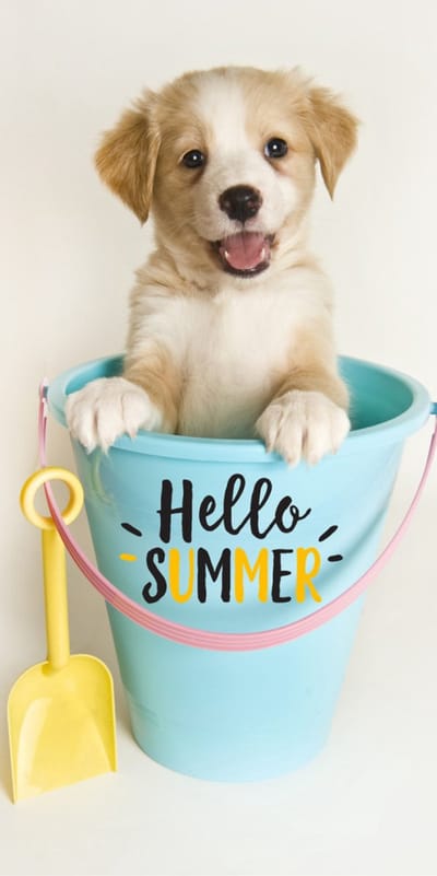 Strandlaken met hondje - Hello Summer strandhanddoek - 100% katoen - Badlaken met hond - 70x140cm