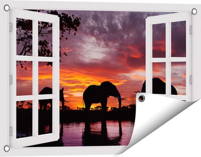 Gards Tuinposter Doorkijk Olifanten tijdens Zonsondergang - Silhouet - 60x40 cm - Tuindoek - Tuindecoratie - Wanddecoratie buiten - Tuinschilderij