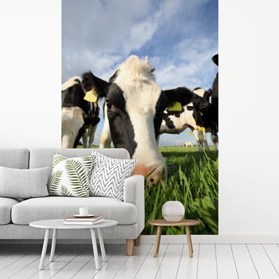 Behang - Fotobehang Koe - Gras - Neus - Lucht - Breedte 175 cm x hoogte 260 cm