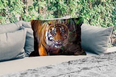 Buitenkussens - Tijger - Bladeren - Jungle - Dieren - Wild - 60x40 cm - Weerbestendig