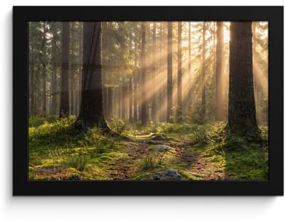 Poster in lijst - Fotolijst 30x20 cm - Posters - Bos - Zonlicht - Gras - Posterlijst zwart - Decoratie - Wanddecoratie woonkamer - Muurdecoratie slaapkamer