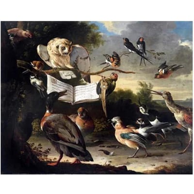 Diamond Painting Uil Leesboek Foto van Steentjes Volledige Ronde Schilderij Bruiloft Decoratie 20X30CM gray