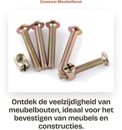 Dailygoods- Meubelbout 10 Stuks M6 - Koolstofstaal - Vatmoeren - Deuvelmoer - Bevestiging - Pozidriv Aandrijving - Bevestigingsbouten