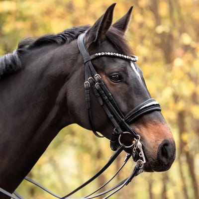 Hoofdstellen voor paarden Kavalkade Selina Crank Nb