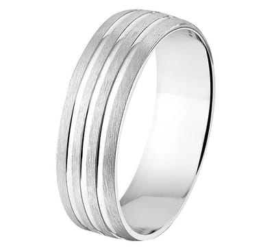 Fantasy Collection Ring A107 - 6 mm - zonder cz - PSN1315274