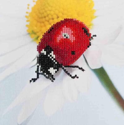 Diamond Dotz® Daisy Lady - Diamond Painting (25x25 cm)