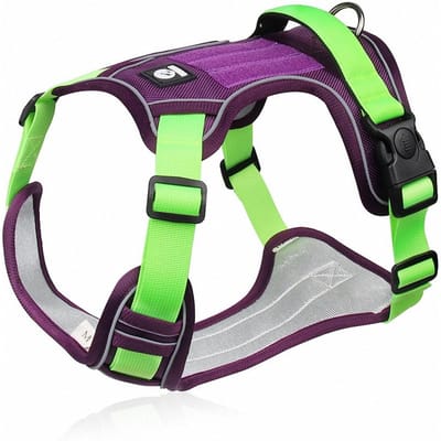 Hondenharnas Vest Franse Bulldog Nylon Hondenharnas Voor Grote Honden Verstelbare Veiligheid Grote Windhond Buiten Wandelharnassen L green