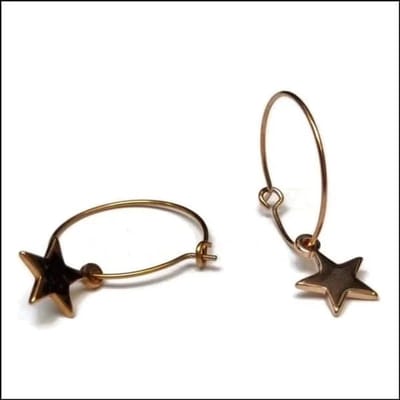 Aramat Jewels | Oorringen | Stijlvolle Rvs Oorringen setje | Rosékleurig / Ster | |3mm | Staal | Volwassenen, Kinderen | Verkleurd niet