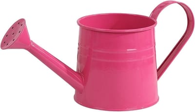 Plant Gieter - Water Gieter - Planten Water Geven - IJzeren Constructie - 1L - Roze