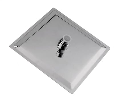 Dailygoods- Douchekop Regendouche 8 Inch - Douchekop Hoge Druk - Douchekop met Filter - Douchekop met Slang - Douchekop met Slang en Wandhouder - Roestvrij Staal - Regen Douchekop