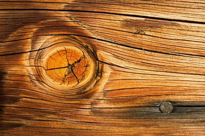 Fotobehang - Wood Knot 375x250cm - Vliesbehang