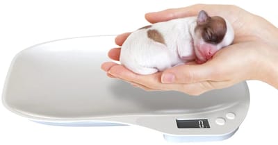 Digitale mini-huisdierenweegschaal, 15 kg/1 gram, nauwkeurig en compact LCD-display, gebruiksvriendelijk, geschikt voor katten, puppy's, hamsters en andere huisdieren.
