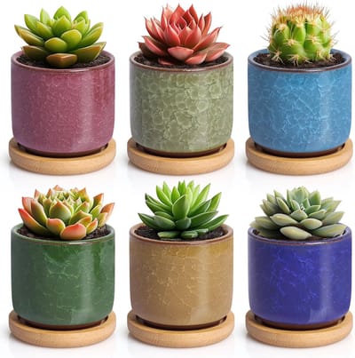 Famanu - Set van 6 keramische vetplantenpotten met bamboe onderzetter 6 cm gekleurd