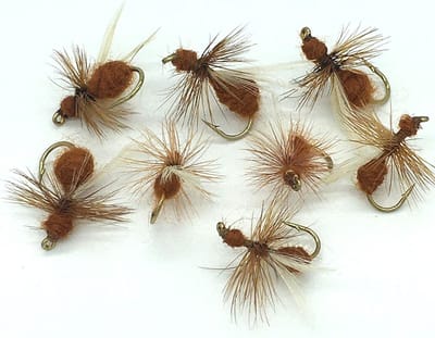 Droge Vliegen - Vliegvissen Aas - Forel Vissen - Naald Punt - Maat S - Bruin