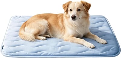 Koelmat Hond - Hondenmat Verkoelend - Honden Koel Houden - Geen Vulling Nodig - 40 x 15 cm - Lichtblauw
