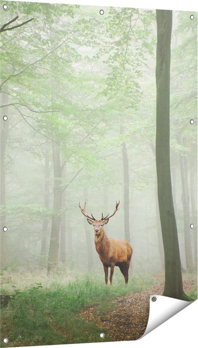 Gards Tuinposter Hert in Bos - 80x120 cm - Tuindoek - Tuindecoratie - Wanddecoratie buiten - Tuinschilderij