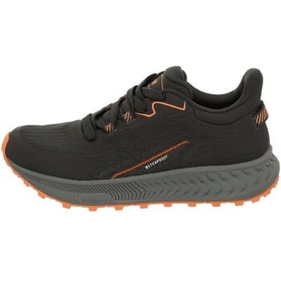 Wandelschoenen Witeblaze -