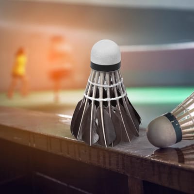 12 stuks tonvormige Eendenveer Badminton Shuttlecocks Indoor Outdoor Sporttraining Badminton Shuttlecocks Ballen beige