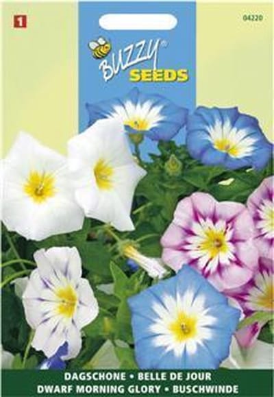 Buzzy Zaden - Driekleurige Winde (Convolvulus tricolor)