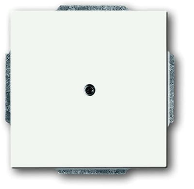 ABB Busch-Jaeger toekomstig Bedieningselement/Centrale Plaat Schakelmateriaal - 2CKA001710A3873 - E2Q9C