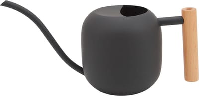 Gieter - Waterkoker planten - Planten water geven - Lange smalle tuit - 1.2 liter - Zwart