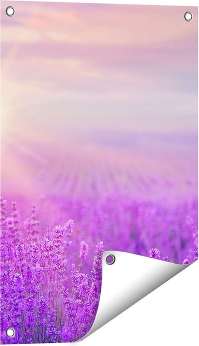 Gards Tuinposter Bloemenveld met Paarse Lavendel - 40x60 cm - Tuindoek - Tuindecoratie - Wanddecoratie buiten - Tuinschilderij