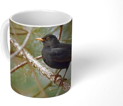 Mok - Koffiemok - Vogel - Merel - Takken - Dieren - Mokken - 350 ML - Beker - Koffiemokken - Theemok