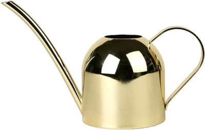 RVS Gieter Binnenplanten Lange Tuit 500ml Goud