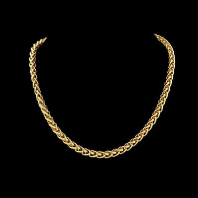 Victoria Valenza Goudkleurige RVS Vossenstaartcollier - Ketting - Goudkleurig - RVS - Vossenstaartketting