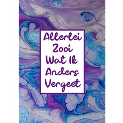 Sinterklaascadeau - Wachtwoordenboekje / Wachtwoorden Boek - Wachtwoordenboekjes & Meer