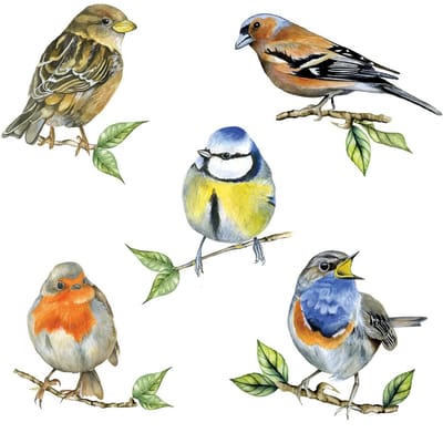 Ambiente Tafel diner servetten - Tuinvogels thema - 20x stuks - 33 x 33 cm - Lente/zomer/vogels