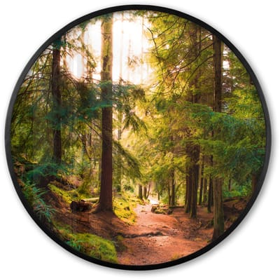 Poster in lijst Rond - Fotolijst 60x60 cm - Posters - Bos - Pad - Bomen - Groen - Zon - Natuur - Ronde posterlijst zwart - Decoratie - Wanddecoratie woonkamer - Muurdecoratie slaapkamer