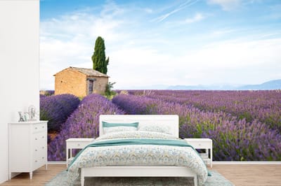 Behang - Fotobehang Lavendelveld met een huis in Provence - Breedte 420 cm x hoogte 280 cm