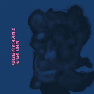 Blake Mills & Pino Palladino - That Wasn't A Dream (LP)