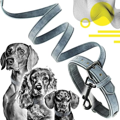 Dailygoods- Halsband Veganistisch Leer - Verstelbare Hondenhalsband 1,2 m - Robuuste Hondenriem - Karabijnhaak - Buigzaam en Extra Zacht - L