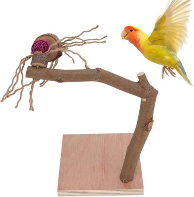 Houten Speelstandaard voor Papegaaien en Vogels - Natuurlijke Klimboom en Kooiaccessoire