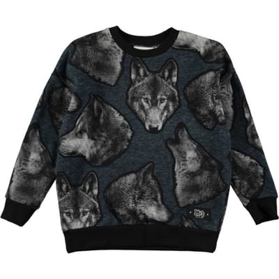 Levi´s ® Kids Mini Batwing Hoodie Blauw 6 Years Jongen
