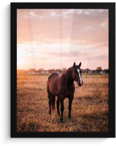 Poster in lijst - Fotolijst 30x40 cm - Posters - Paard - Zonsondergang - Bruin - Posterlijst zwart - Decoratie - Wanddecoratie woonkamer - Muurdecoratie slaapkamer