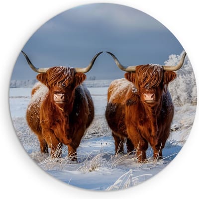 Saammp Muurcirkel Hout - Groep Schotse Hooglander Koe - Landschap - Dieren - Natuur - Ø 90 - Wandcirkel - Wanddecoratie Cirkel - muurdecoratie Woonkamer - Slaapkamer decoratie - Rond Schilderij