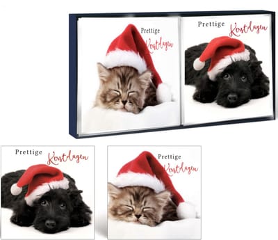 Kerstkaarten - 16 Stuks - 13 x 13 cm – Luxe Kaarten - Prettige Kerstdagen – K-148
