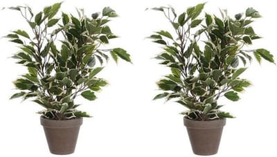 Mica Decorations Kunstplant Ficus - 2x - 40 cm - groene kamerplant