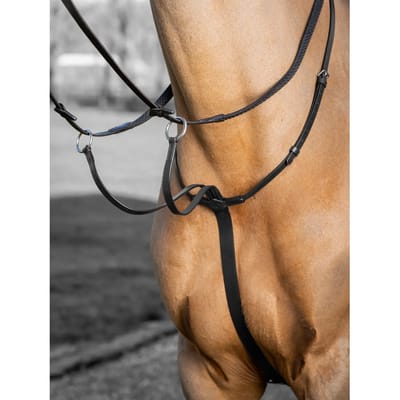 Paardenrennen martingaal LeMieux Arika