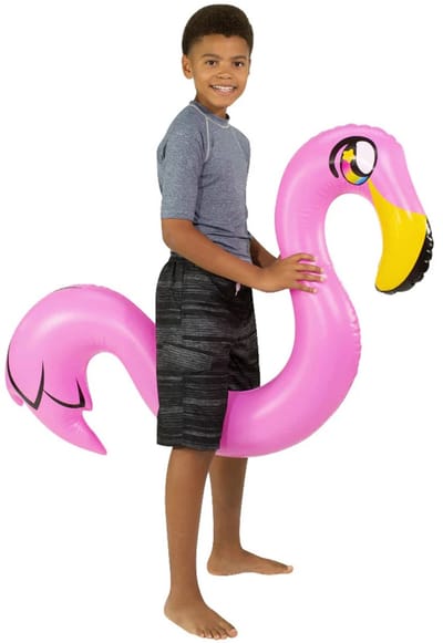 Flamingo Ride-On Noodle Pool Tube - drijvend zwemband voor iedereen - Roze - Lengte 163 cm - Strand - Zwembad - Zee