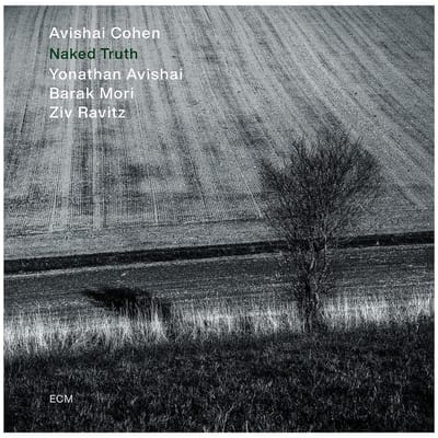 Avishai Cohen, Yonathan Avishai, Ziv Ravitz, Barak Mori - Naked Truth (LP)