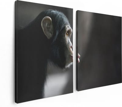 Artaza Canvas Schilderij Tweeluik Verbaasde Aap Vanaf De Zijkant - 120x80 - Foto Op Canvas - Canvas Print