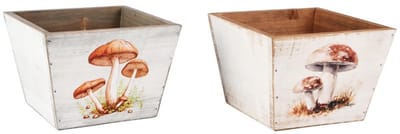 Dekoratief | Bakje m/paddenstoelen, naturel/wit, hout, 15x15x11cm, set van 2 stuks | A255956