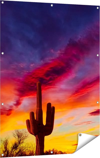 Gards Tuinposter Cactus bij Oranje Zonsondergang - 90x120 cm - Tuindoek - Tuindecoratie - Wanddecoratie buiten - Tuinschilderij